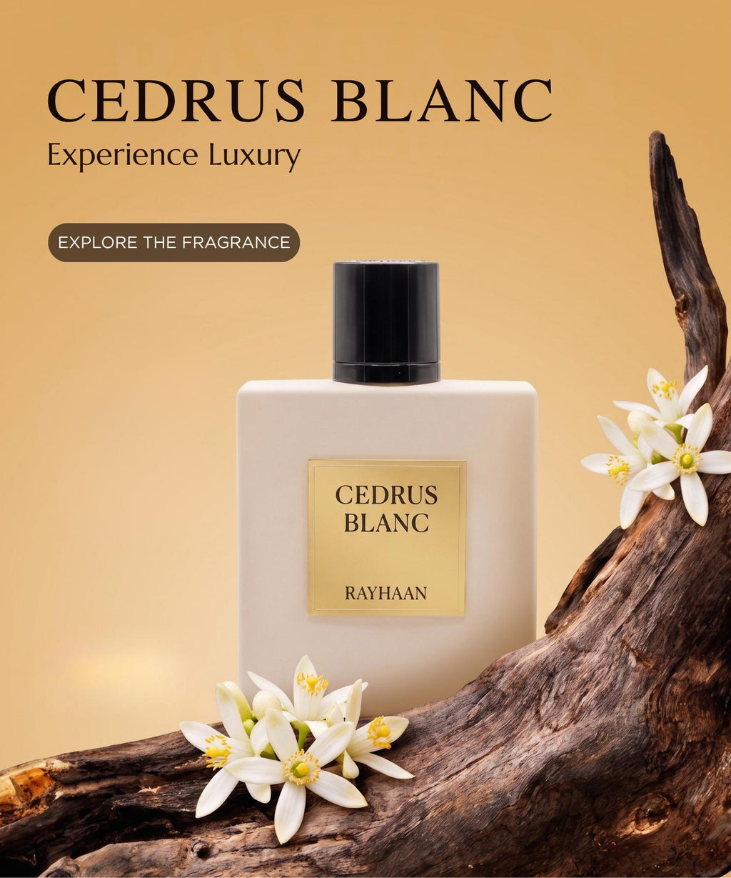 Cedrus Bl