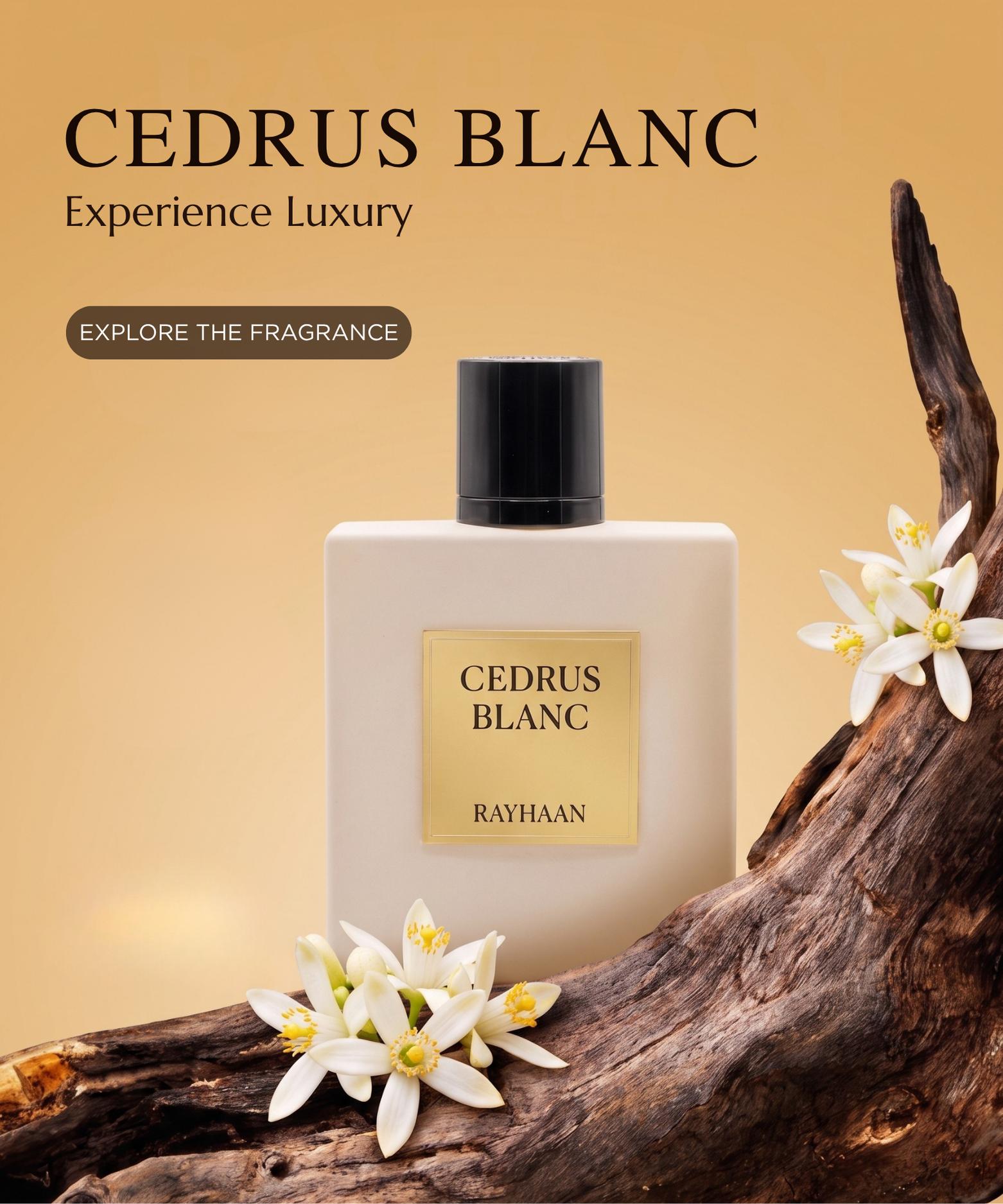 Cedrus Bl